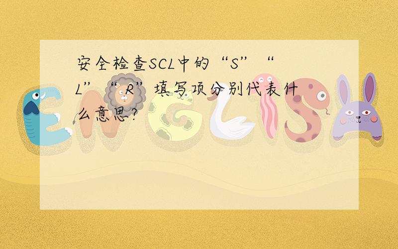 安全检查SCL中的“S”“ L”“ R”填写项分别代表什么意思?