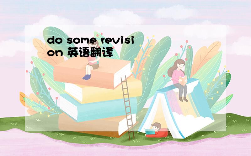 do some revision 英语翻译