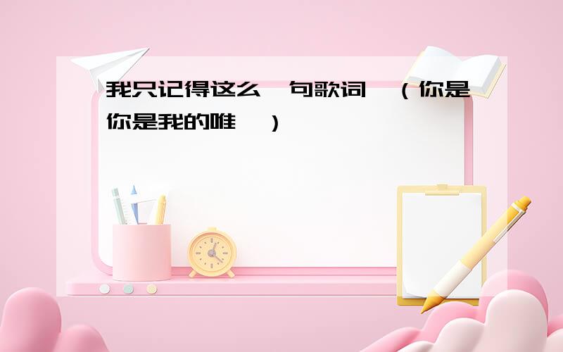 我只记得这么一句歌词,（你是你是我的唯一）,