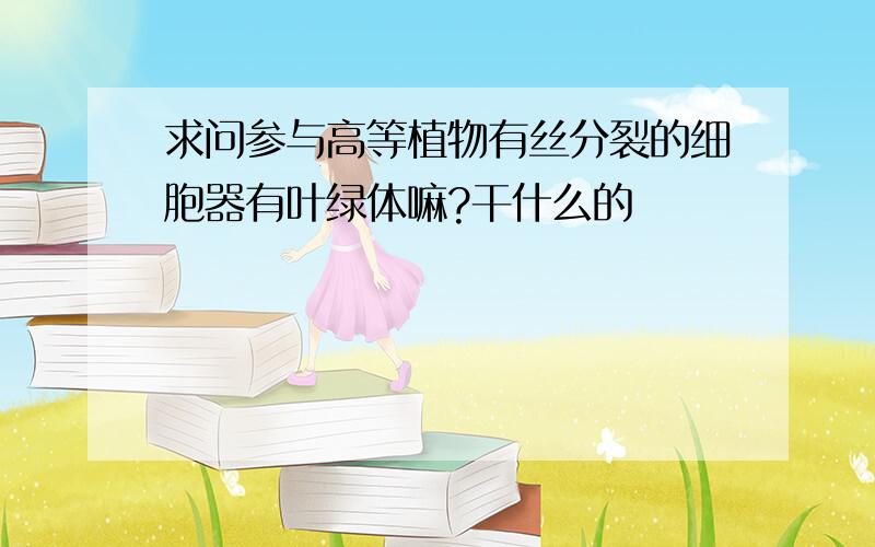 求问参与高等植物有丝分裂的细胞器有叶绿体嘛?干什么的