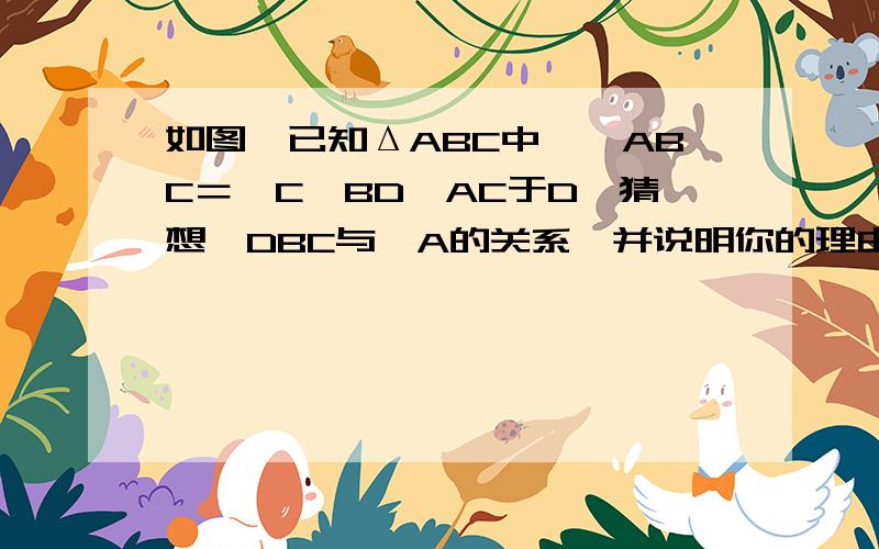 如图,已知ΔABC中,∠ABC＝∠C,BD⊥AC于D,猜想∠DBC与∠A的关系,并说明你的理由.