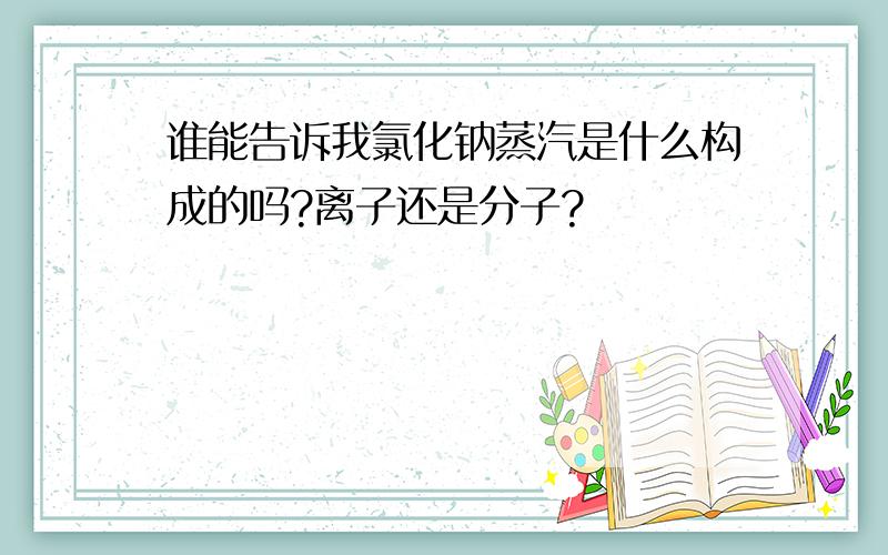 谁能告诉我氯化钠蒸汽是什么构成的吗?离子还是分子?