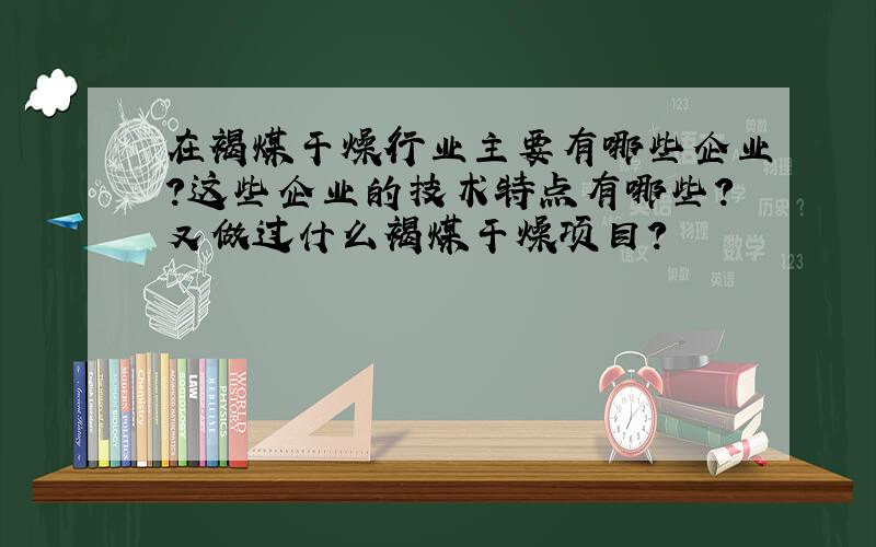 在褐煤干燥行业主要有哪些企业?这些企业的技术特点有哪些?又做过什么褐煤干燥项目?