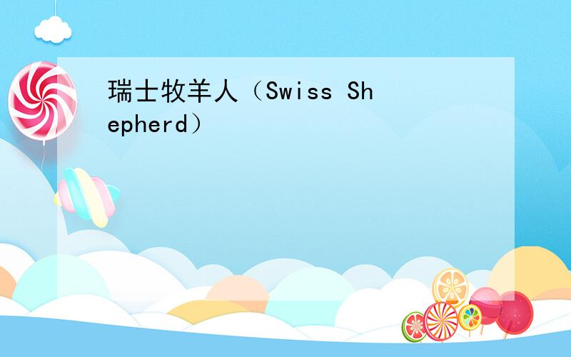 瑞士牧羊人（Swiss Shepherd）