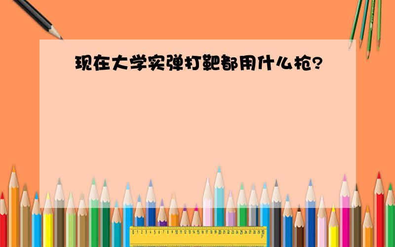 现在大学实弹打靶都用什么枪?