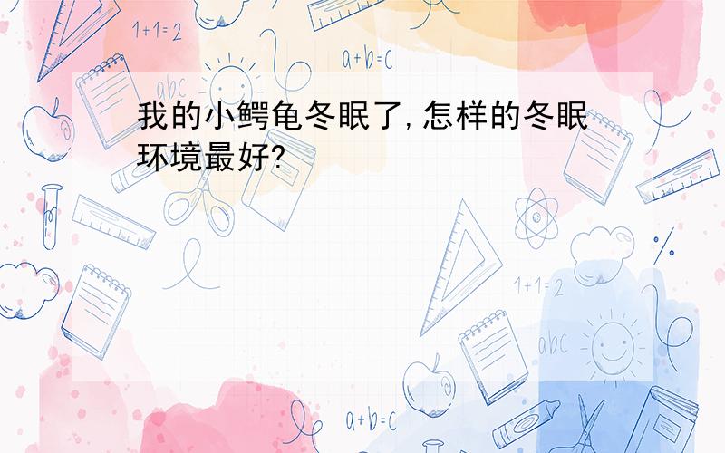 我的小鳄龟冬眠了,怎样的冬眠环境最好?