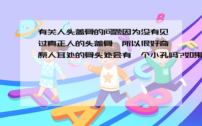 有关人头盖骨的问题因为没有见过真正人的头盖骨,所以很好奇原人耳处的骨头处会有一个小孔吗?如果没有,那内耳的神经是通过什么