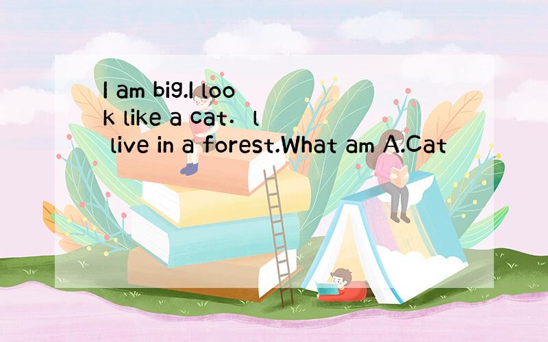 I am big.I look like a cat．l live in a forest.What am A.Cat