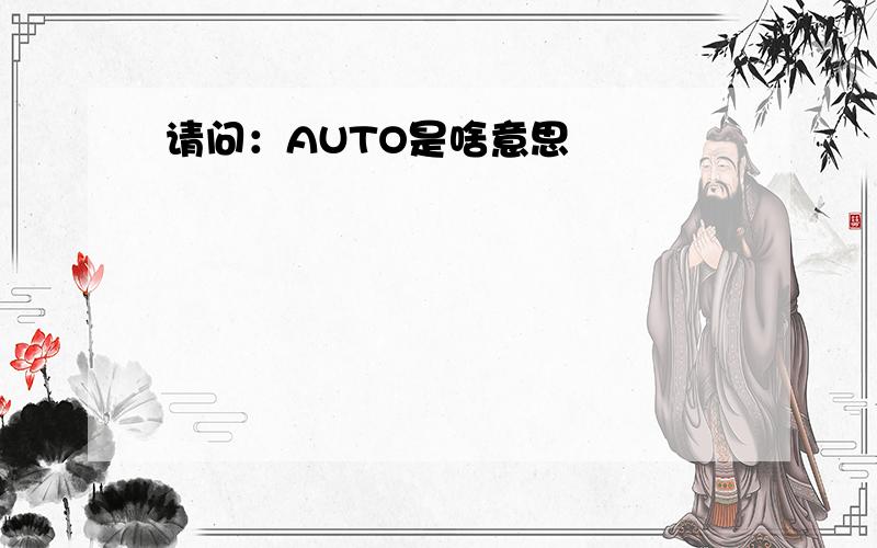 请问：AUTO是啥意思