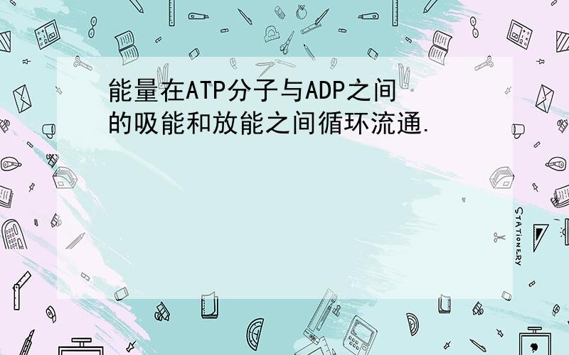 能量在ATP分子与ADP之间的吸能和放能之间循环流通.