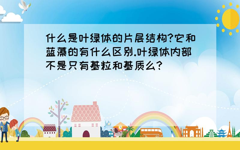 什么是叶绿体的片层结构?它和蓝藻的有什么区别.叶绿体内部不是只有基粒和基质么?