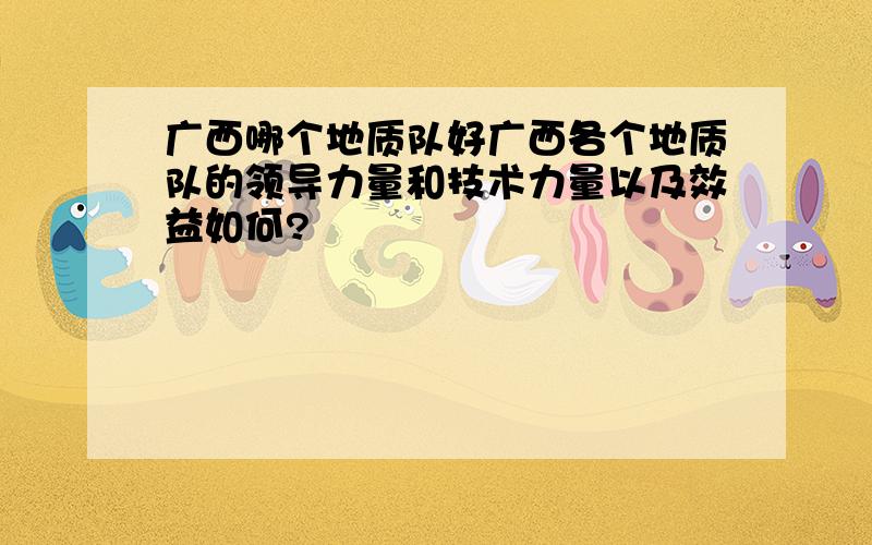 广西哪个地质队好广西各个地质队的领导力量和技术力量以及效益如何?