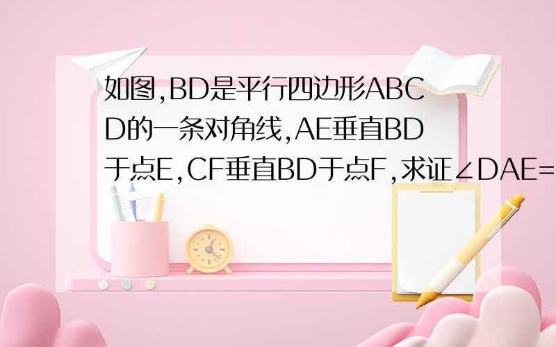 如图,BD是平行四边形ABCD的一条对角线,AE垂直BD于点E,CF垂直BD于点F,求证∠DAE=∠BCF