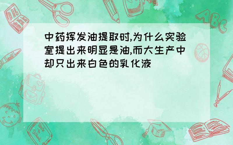 中药挥发油提取时,为什么实验室提出来明显是油,而大生产中却只出来白色的乳化液