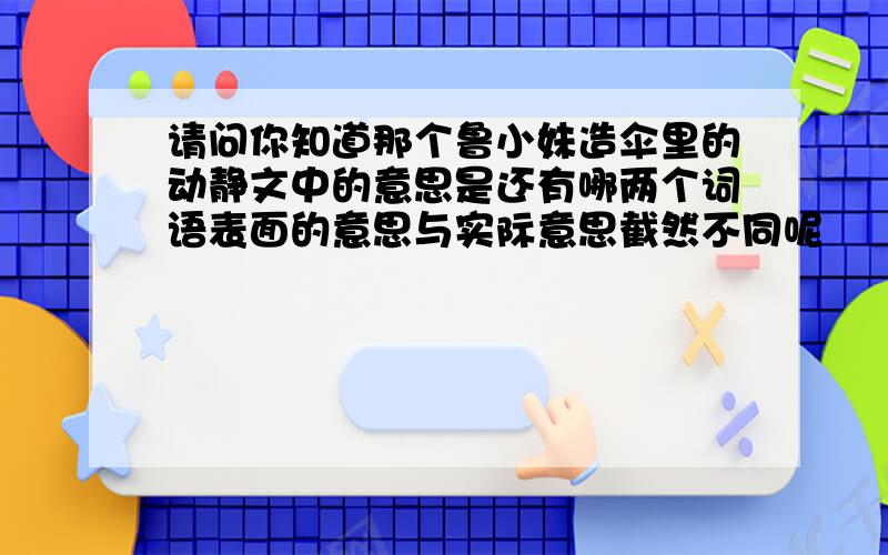 请问你知道那个鲁小妹造伞里的动静文中的意思是还有哪两个词语表面的意思与实际意思截然不同呢