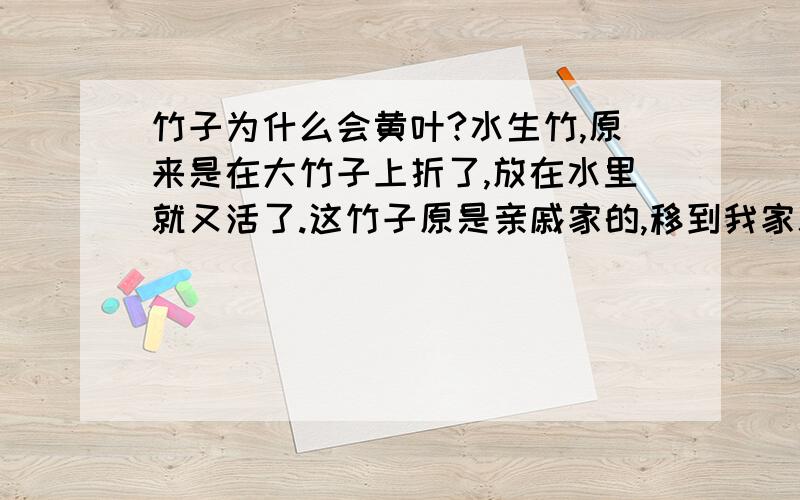 竹子为什么会黄叶?水生竹,原来是在大竹子上折了,放在水里就又活了.这竹子原是亲戚家的,移到我家就黄叶了,怎么办?