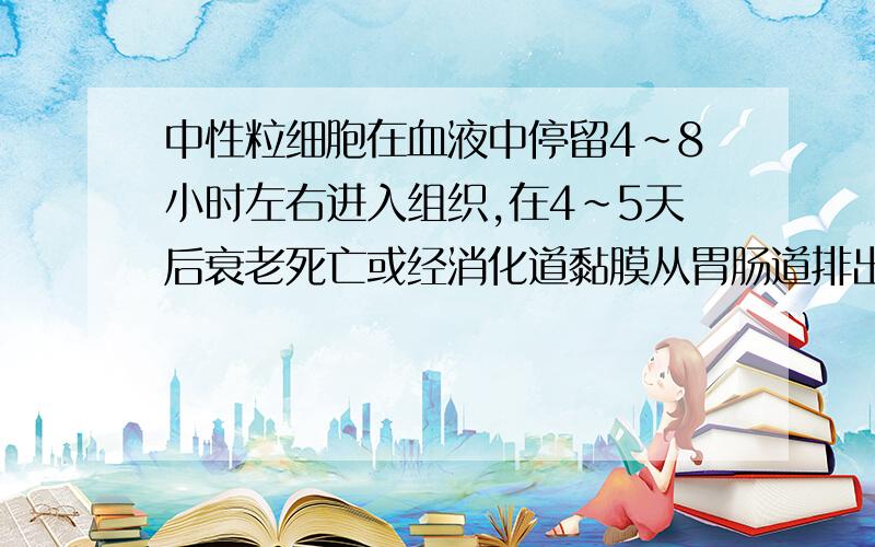 中性粒细胞在血液中停留4～8小时左右进入组织,在4～5天后衰老死亡或经消化道黏膜从胃肠道排出.我想知道白细胞为何会从消化