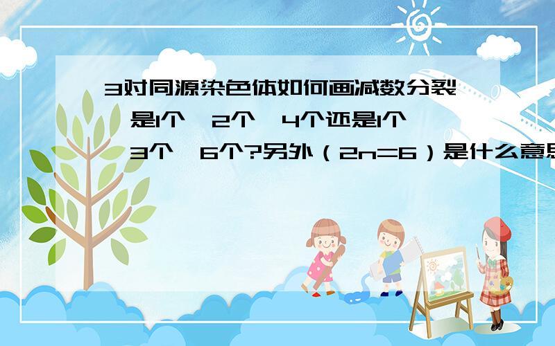 3对同源染色体如何画减数分裂,是1个→2个→4个还是1个→3个→6个?另外（2n=6）是什么意思?