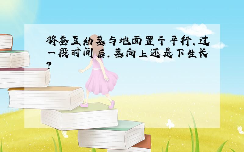 将蚕豆幼茎与地面置于平行,过一段时间后,茎向上还是下生长?