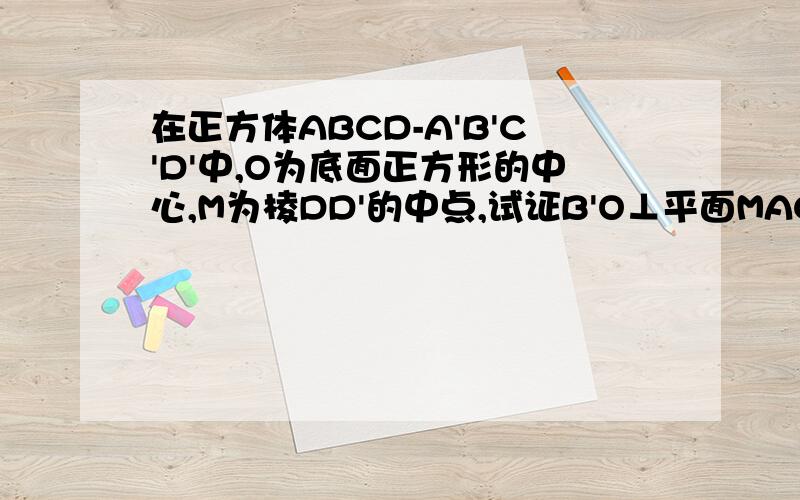 在正方体ABCD-A'B'C'D'中,O为底面正方形的中心,M为棱DD'的中点,试证B'O⊥平面MAC