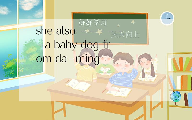 she also ------a baby dog from da-ming