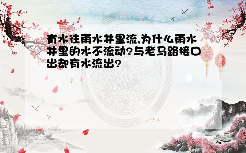 有水往雨水井里流,为什么雨水井里的水不流动?与老马路接口出却有水流出?