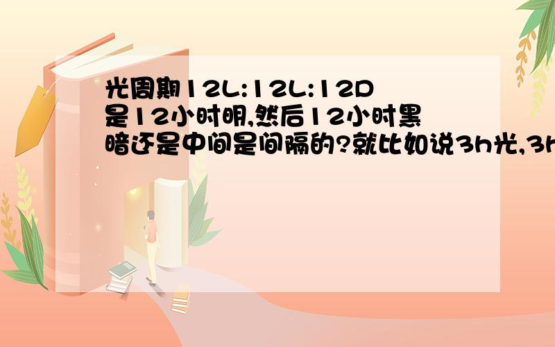 光周期12L:12L:12D是12小时明,然后12小时黑暗还是中间是间隔的?就比如说3h光,3h暗,再反复.