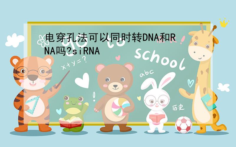 电穿孔法可以同时转DNA和RNA吗?siRNA