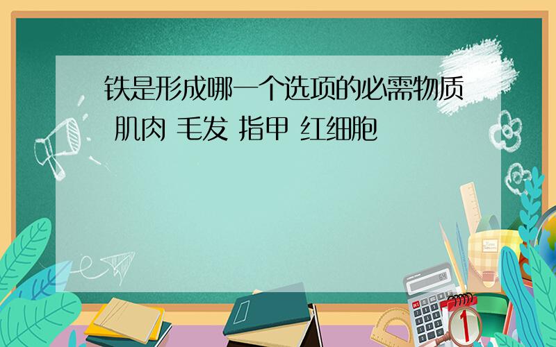 铁是形成哪一个选项的必需物质 肌肉 毛发 指甲 红细胞