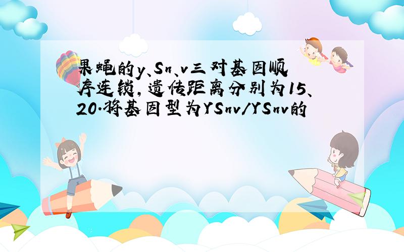 果蝇的y、Sn、v三对基因顺序连锁,遗传距离分别为15、20.将基因型为YSnv/YSnv的