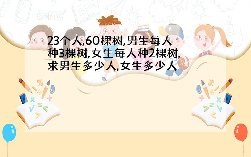 23个人,60棵树,男生每人种3棵树,女生每人种2棵树,求男生多少人,女生多少人