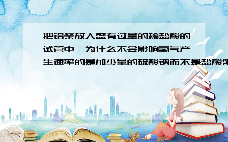 把铝条放入盛有过量的稀盐酸的试管中,为什么不会影响氢气产生速率的是加少量的硫酸钠而不是盐酸浓度?