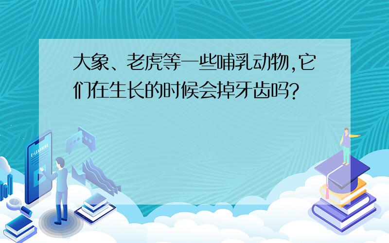 大象、老虎等一些哺乳动物,它们在生长的时候会掉牙齿吗?