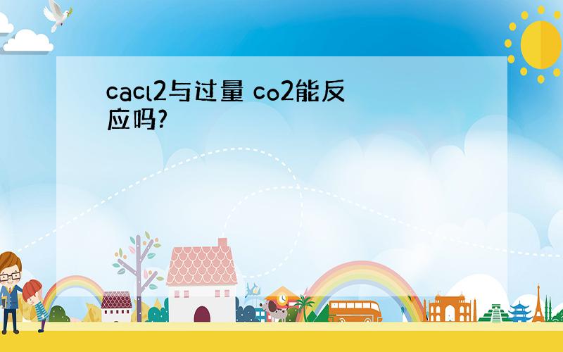 cacl2与过量 co2能反应吗?