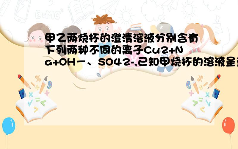 甲乙两烧杯的澄清溶液分别含有下列两种不同的离子Cu2+Na+OH－、SO42-,已知甲烧杯的溶液呈蓝色,则乙烧杯的