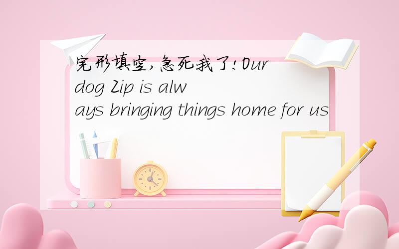 完形填空,急死我了!Our dog Zip is always bringing things home for us