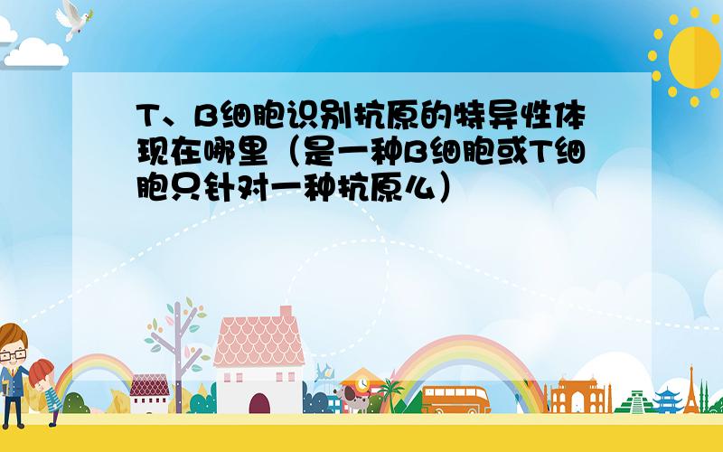 T、B细胞识别抗原的特异性体现在哪里（是一种B细胞或T细胞只针对一种抗原么）