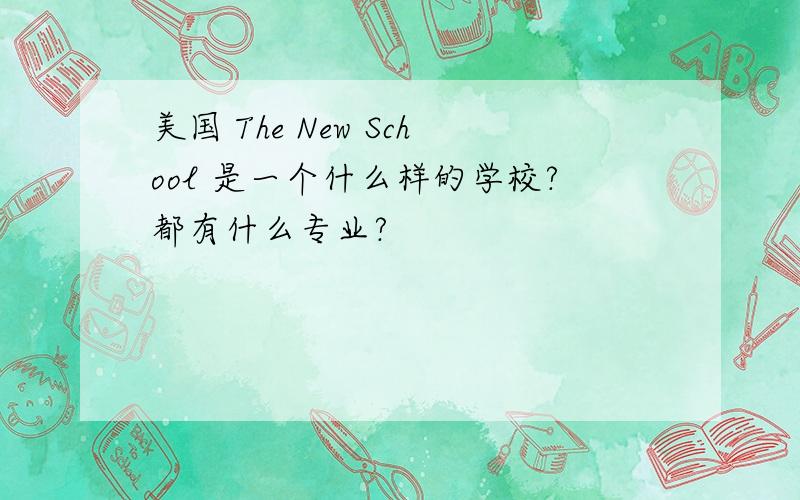 美国 The New School 是一个什么样的学校?都有什么专业?