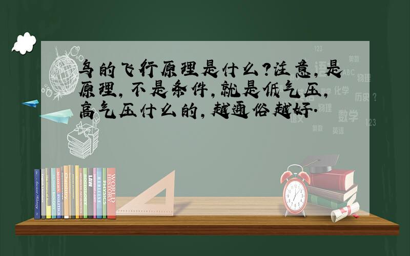 鸟的飞行原理是什么?注意,是原理,不是条件,就是低气压,高气压什么的,越通俗越好.