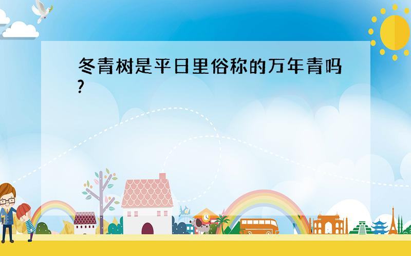 冬青树是平日里俗称的万年青吗?