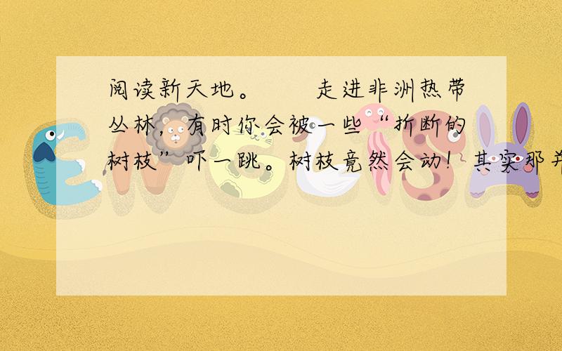 阅读新天地。　　走进非洲热带丛林，有时你会被一些“折断的树枝”吓一跳。树枝竟然会动！其实那并不是树枝，而是一种蝰蛇。它长