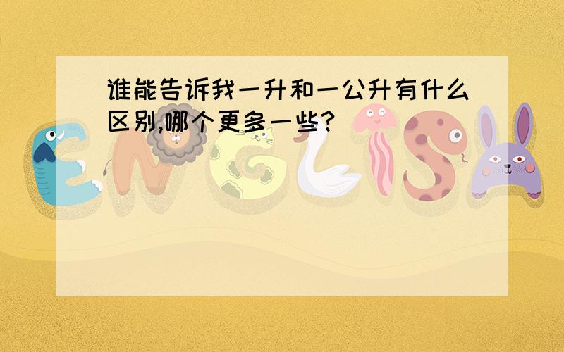 谁能告诉我一升和一公升有什么区别,哪个更多一些?