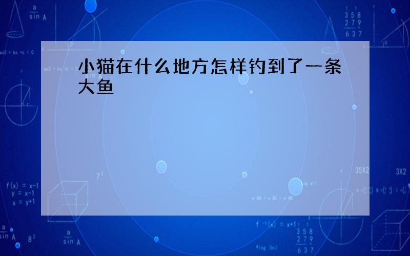 小猫在什么地方怎样钓到了一条大鱼