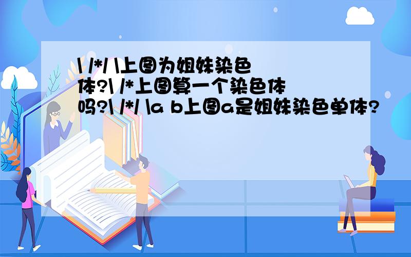 \ /*/ \上图为姐妹染色体?\ /*上图算一个染色体吗?\ /*/ \a b上图a是姐妹染色单体?