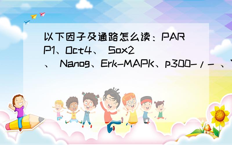 以下因子及通路怎么读：PARP1、Oct4、 Sox2 、 Nanog、Erk-MAPK、p300-/- 、Yamana