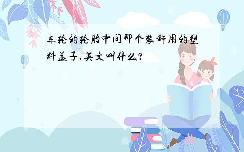 车轮的轮胎中间那个装饰用的塑料盖子,英文叫什么?