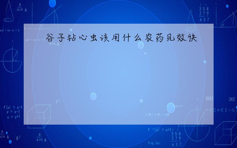 谷子钻心虫该用什么农药见效快