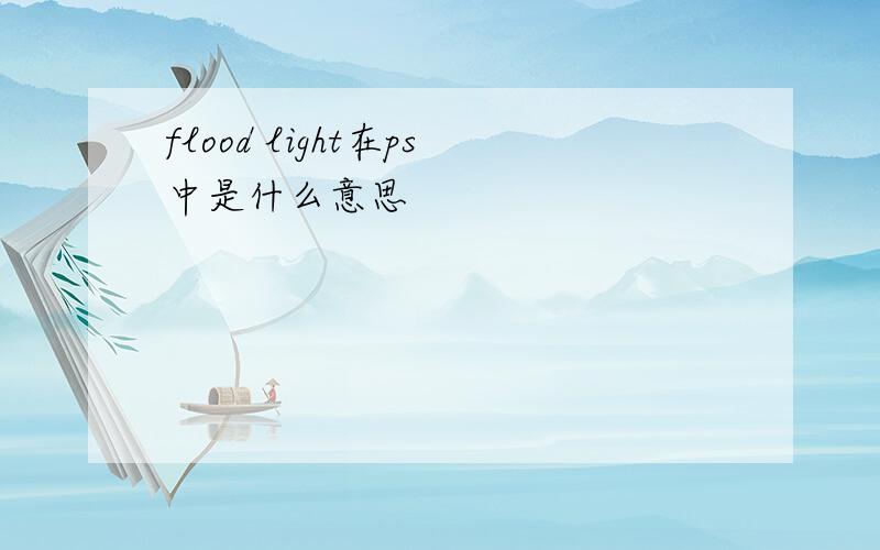 flood light在ps中是什么意思