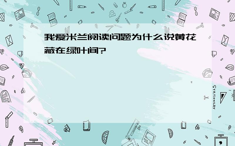 我爱米兰阅读问题为什么说黄花藏在绿叶间?