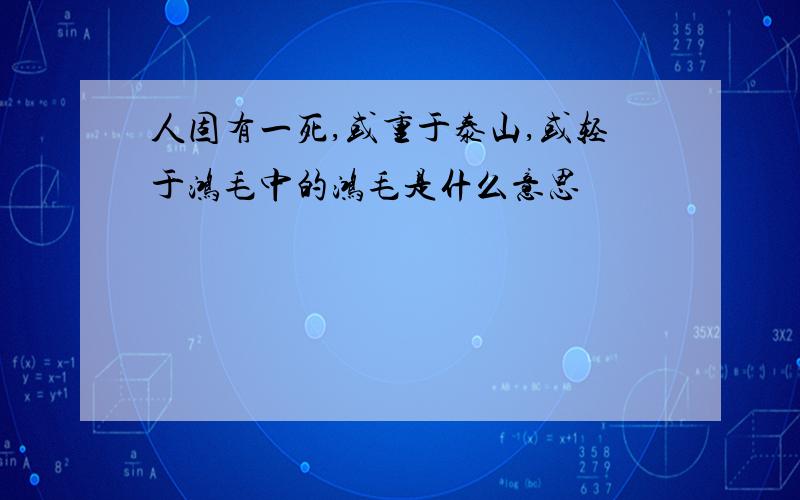 人固有一死,或重于泰山,或轻于鸿毛中的鸿毛是什么意思